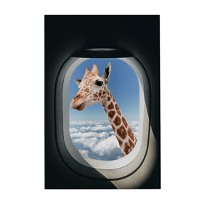 Quadro Decorativo Safari | Alimari - Meu Rodapé
