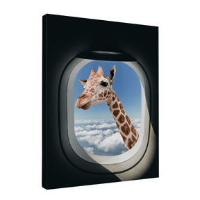 Quadro Decorativo Safari | Alimari - Meu Rodapé