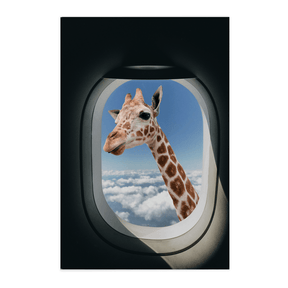 Quadro Decorativo Safari | Alimari - Meu Rodapé