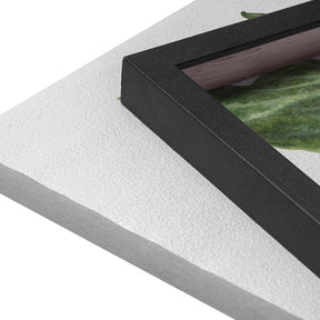 Quadro Decorativo Singônio | Ana Carolina Vivian - Meu Rodapé