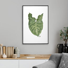 Quadro Decorativo Singônio | Ana Carolina Vivian - Meu Rodapé