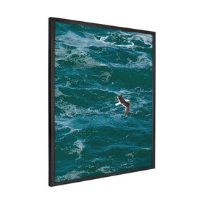 Quadro Decorativo The Seagull | Ianco Rocha - Meu Rodapé