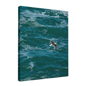 Quadro Decorativo The Seagull | Ianco Rocha - Meu Rodapé