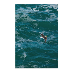 Quadro Decorativo The Seagull | Ianco Rocha - Meu Rodapé