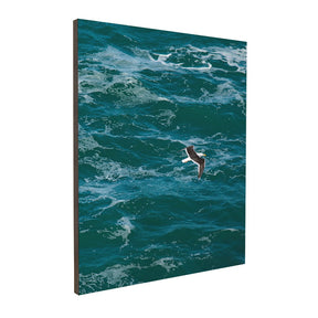 Quadro Decorativo The Seagull | Ianco Rocha - Meu Rodapé