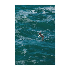 Quadro Decorativo The Seagull | Ianco Rocha - Meu Rodapé