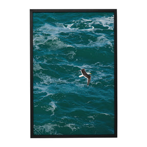 Quadro Decorativo The Seagull | Ianco Rocha - Meu Rodapé