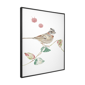 Quadro Decorativo Tico - Tico | Nana Haus - Meu Rodapé