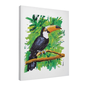 Quadro Decorativo Tucano | Paulo Ferrari - Meu Rodapé