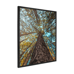 Quadro Decorativo Um Olhar Acima | Glaucon Hartmam - Meu Rodapé