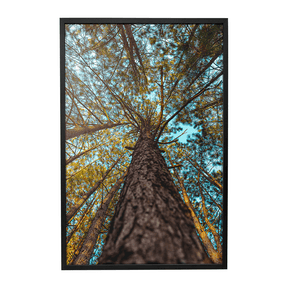 Quadro Decorativo Um Olhar Acima | Glaucon Hartmam - Meu Rodapé