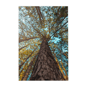 Quadro Decorativo Um Olhar Acima | Glaucon Hartmam - Meu Rodapé