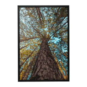 Quadro Decorativo Um Olhar Acima | Glaucon Hartmam - Meu Rodapé
