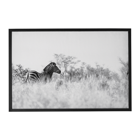 Quadro Decorativo Zebra 2 | Sâmia Munaretti & Marcelo Baldin - Meu Rodapé