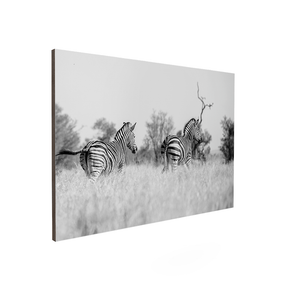 Quadro Decorativo Zebra 3 | Sâmia Munaretti & Marcelo Baldin - Meu Rodapé