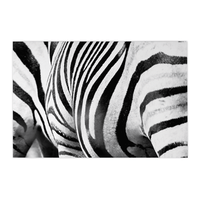 Quadro Decorativo Zebra Listrada | Sâmia Munaretti & Marcelo Baldin - Meu Rodapé