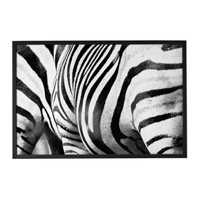Quadro Decorativo Zebra Listrada | Sâmia Munaretti & Marcelo Baldin - Meu Rodapé