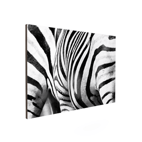 Quadro Decorativo Zebra Listrada | Sâmia Munaretti & Marcelo Baldin - Meu Rodapé