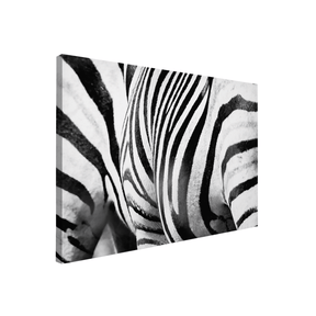 Quadro Decorativo Zebra Listrada | Sâmia Munaretti & Marcelo Baldin - Meu Rodapé