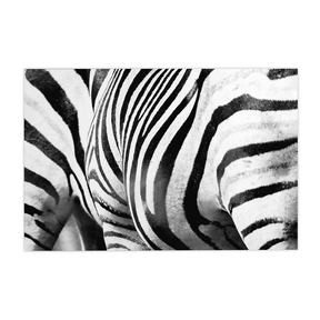 Quadro Decorativo Zebra Listrada | Sâmia Munaretti & Marcelo Baldin - Meu Rodapé
