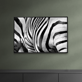 Quadro Decorativo Zebra Listrada | Sâmia Munaretti & Marcelo Baldin - Meu Rodapé