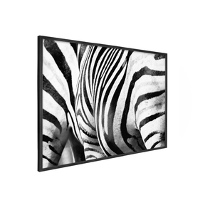 Quadro Decorativo Zebra Listrada | Sâmia Munaretti & Marcelo Baldin - Meu Rodapé