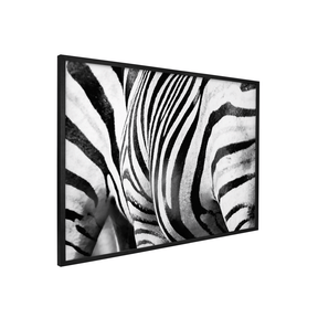 Quadro Decorativo Zebra Listrada | Sâmia Munaretti & Marcelo Baldin - Meu Rodapé