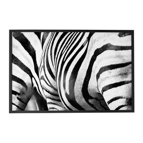 Quadro Decorativo Zebra Listrada | Sâmia Munaretti & Marcelo Baldin - Meu Rodapé