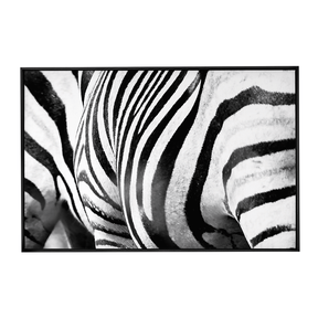 Quadro Decorativo Zebra Listrada | Sâmia Munaretti & Marcelo Baldin - Meu Rodapé